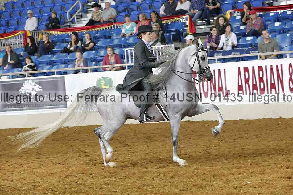 Proof 14usn_01435