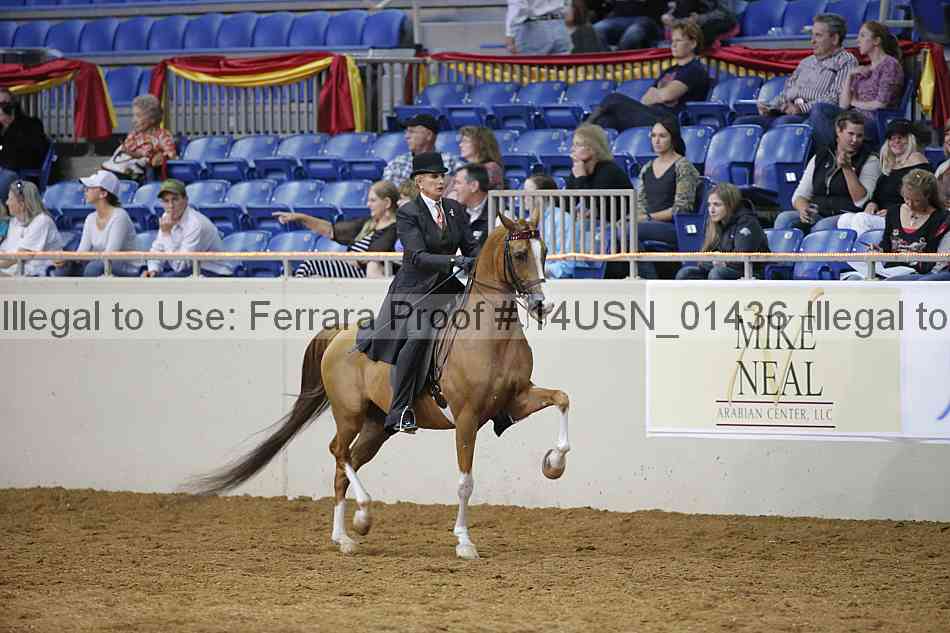 Proof 14usn_01436