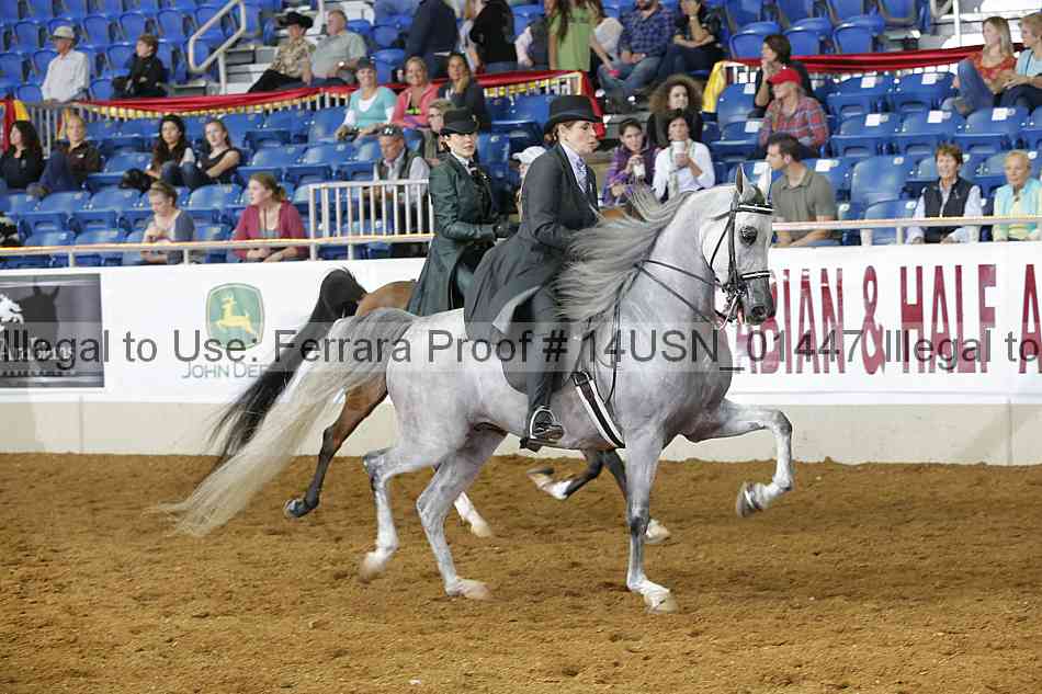 Proof 14usn_01447