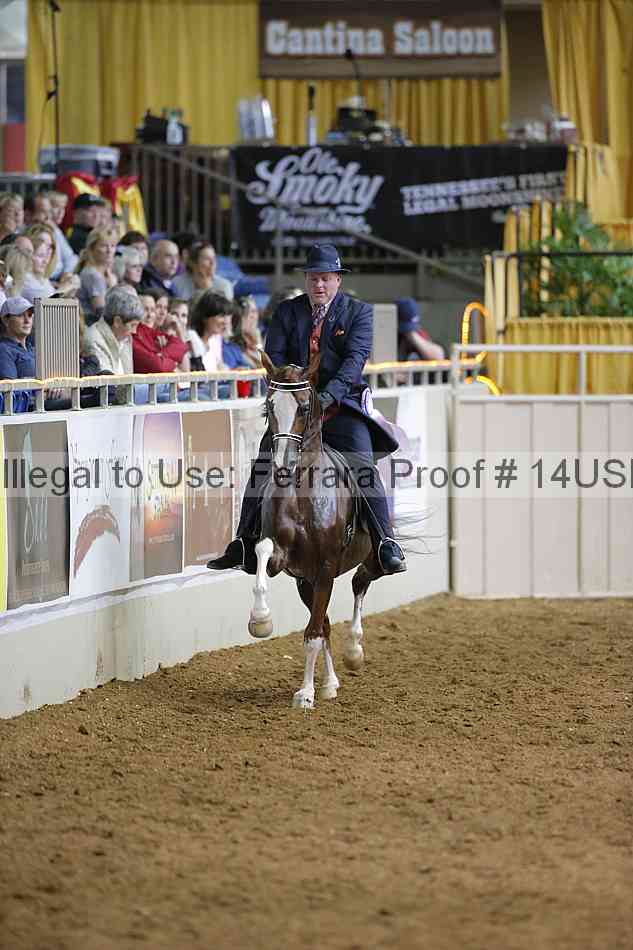 Proof 14usn_01451