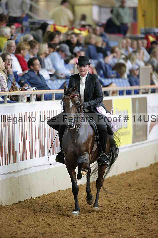 Proof 14usn_01460