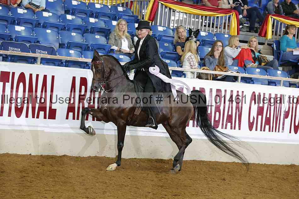 Proof 14usn_01461