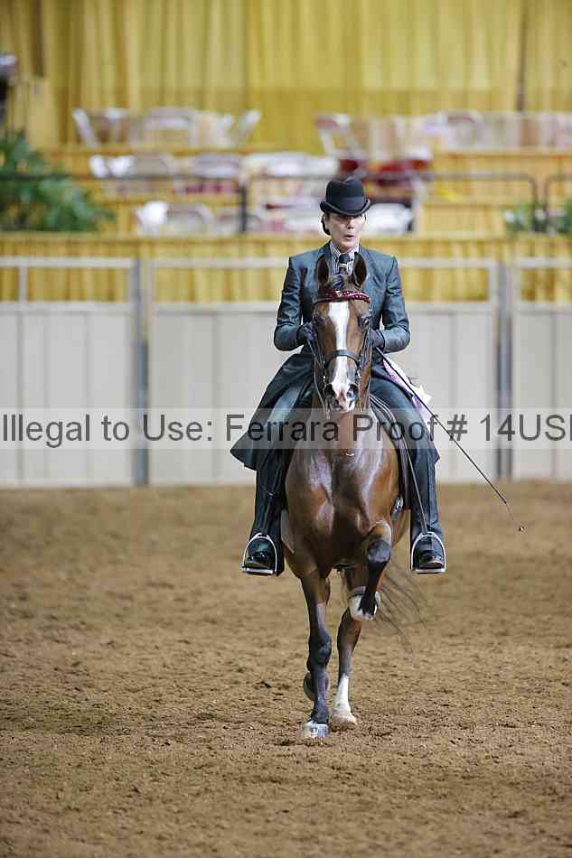 Proof 14usn_01462