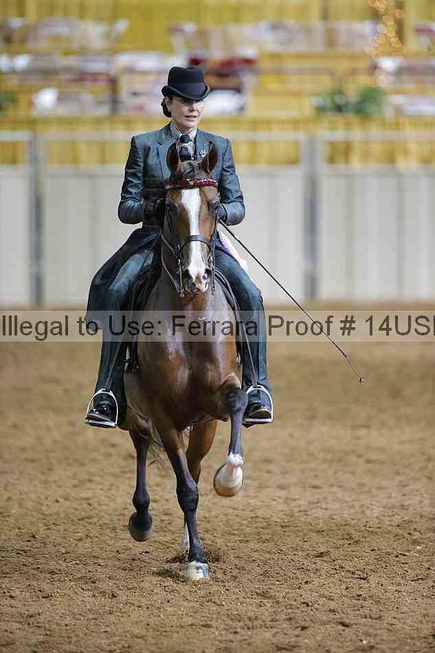 Proof 14usn_01463