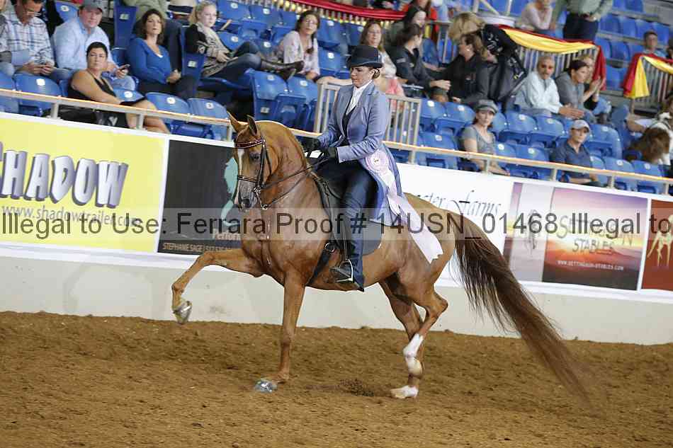 Proof 14usn_01468
