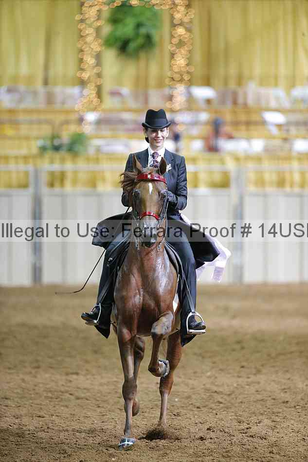 Proof 14usn_01470