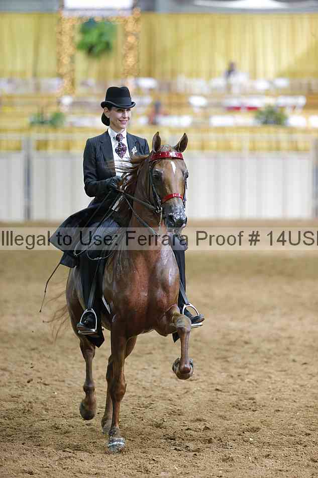 Proof 14usn_01472