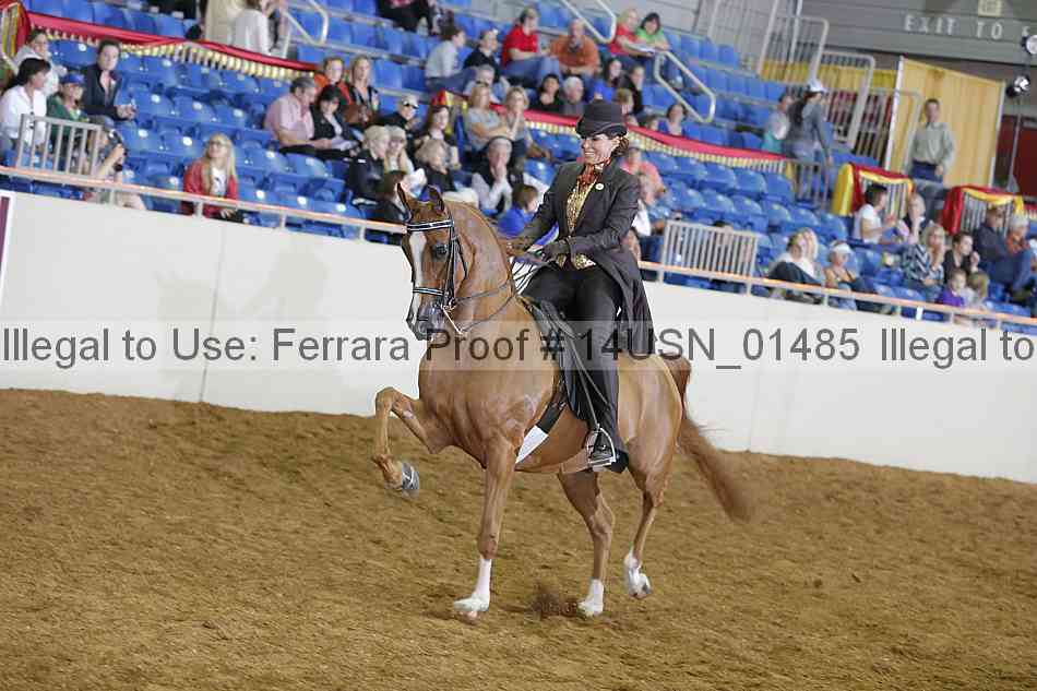 Proof 14usn_01485