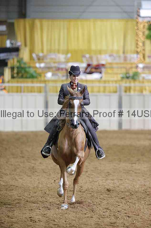 Proof 14usn_01486