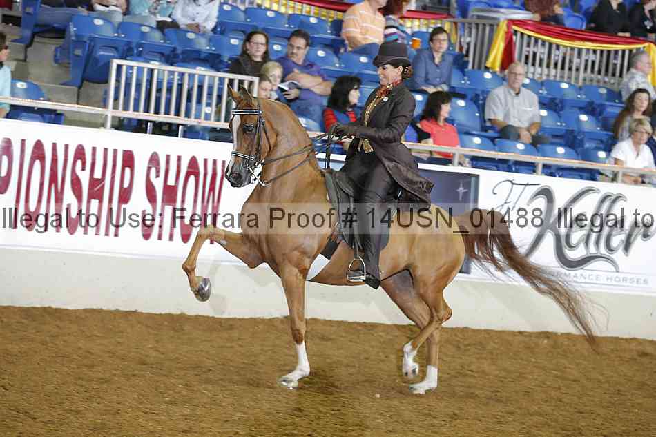 Proof 14usn_01488