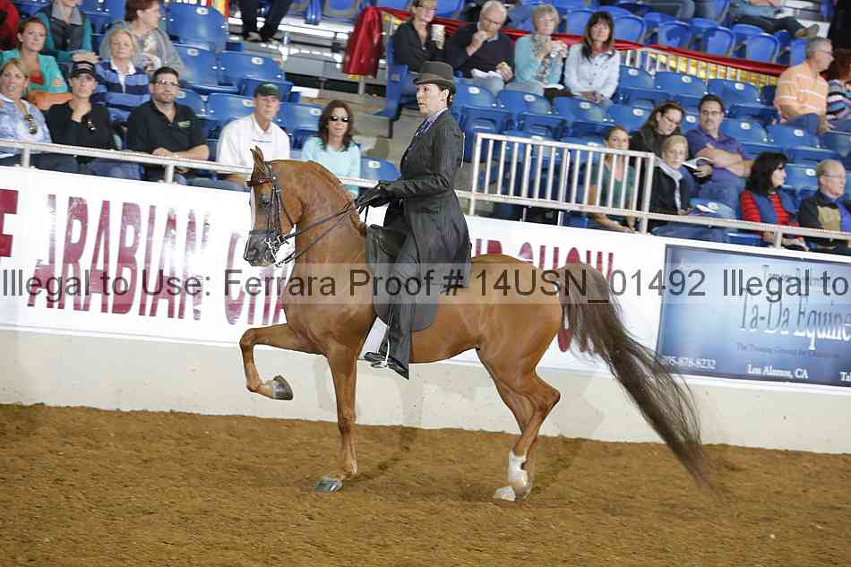 Proof 14usn_01492