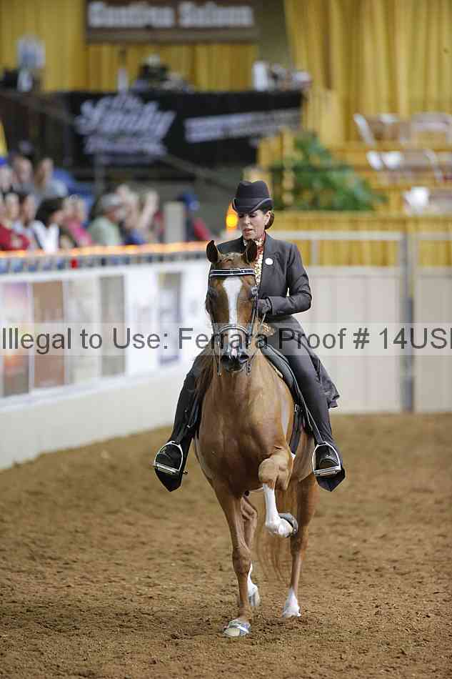 Proof 14usn_01493