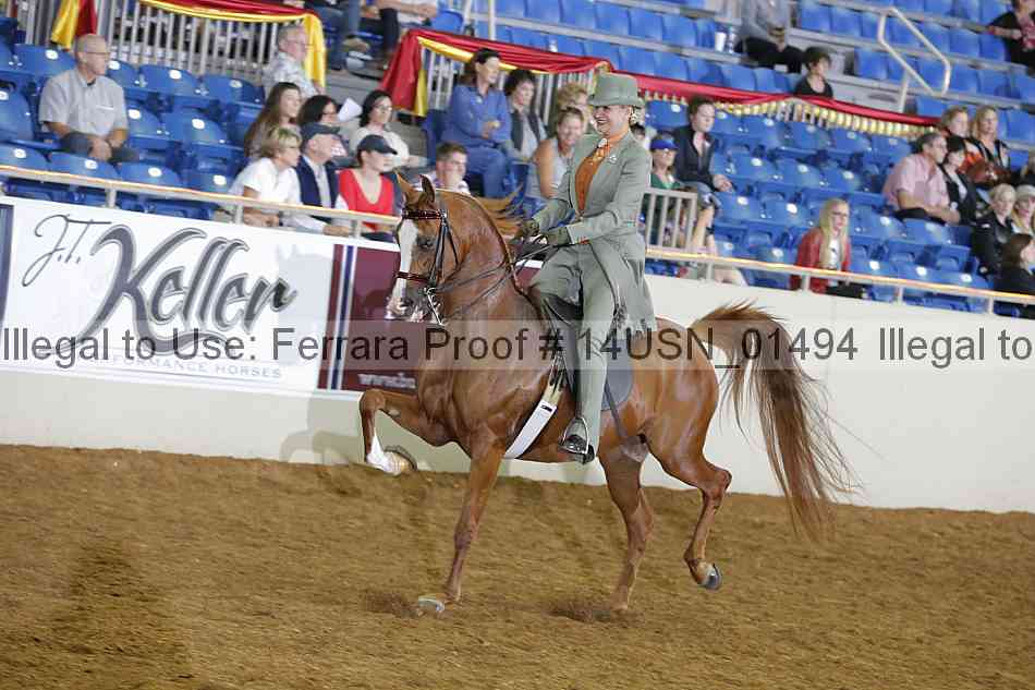 Proof 14usn_01494