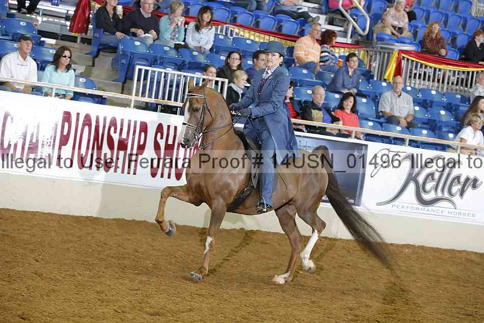 Proof 14usn_01496