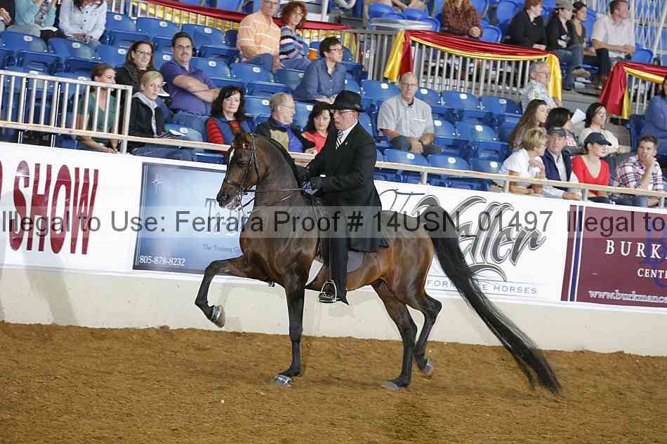 Proof 14usn_01497