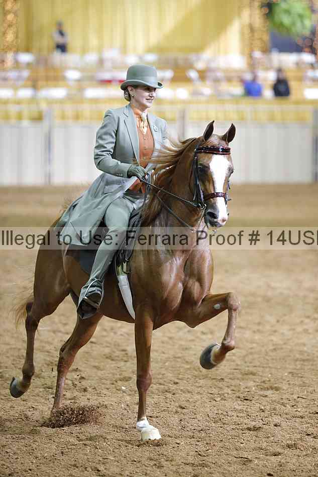 Proof 14usn_01498