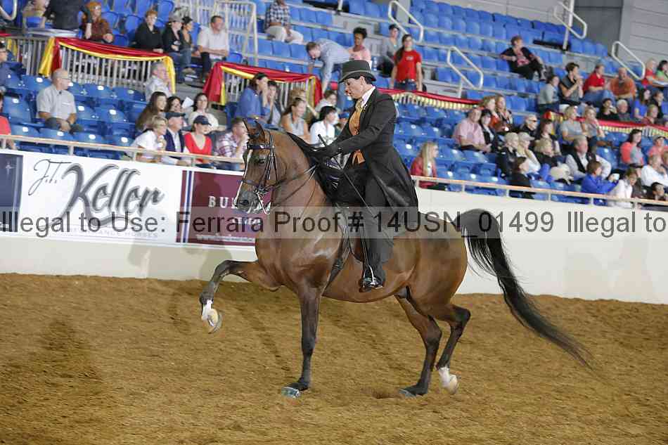 Proof 14usn_01499