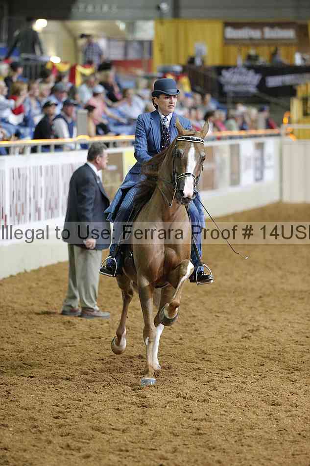 Proof 14usn_01501