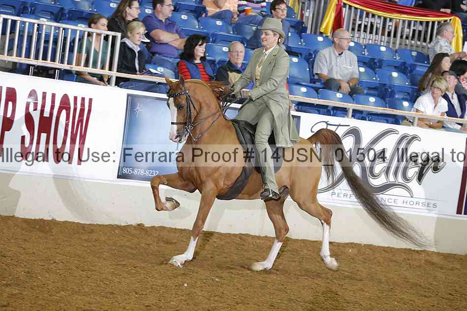 Proof 14usn_01504