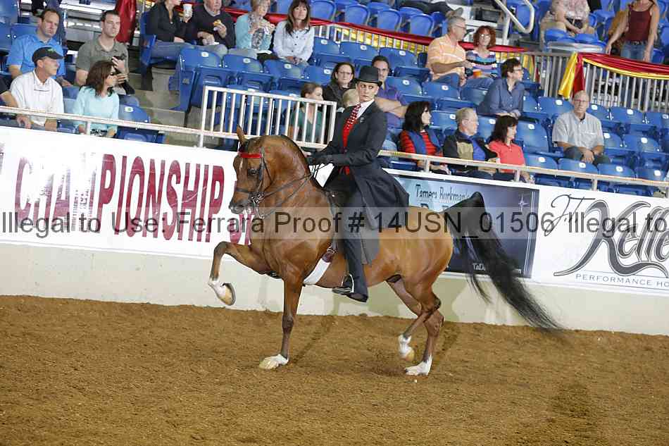 Proof 14usn_01506