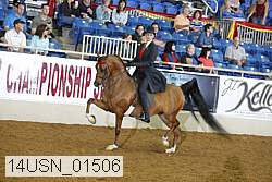 14usn_01506 proof