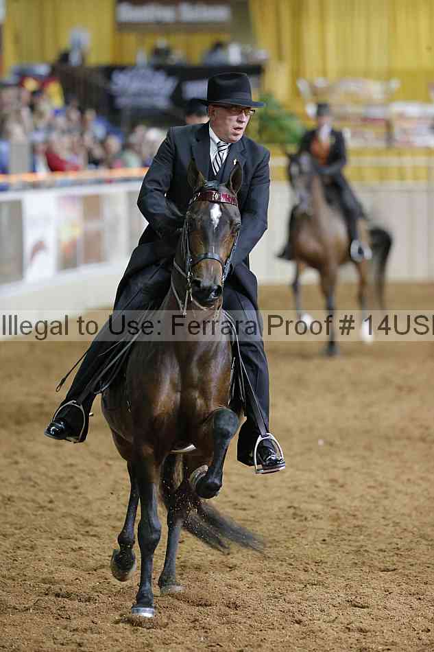 Proof 14usn_01507