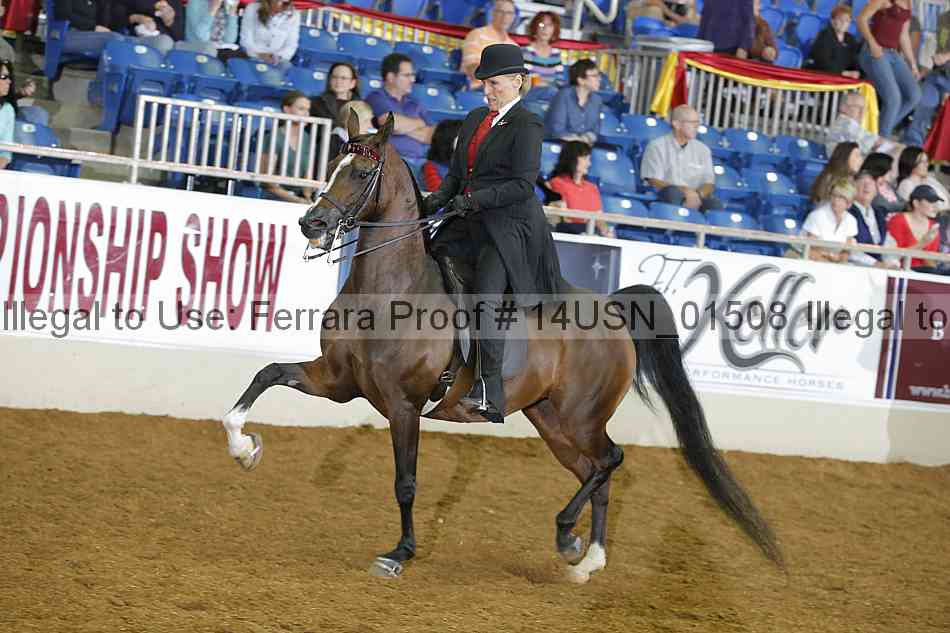 Proof 14usn_01508