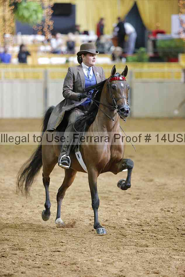 Proof 14usn_01509