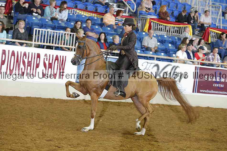 Proof 14usn_01513