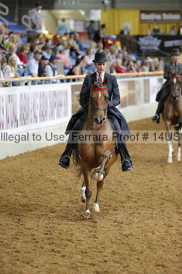 Proof 14usn_01523