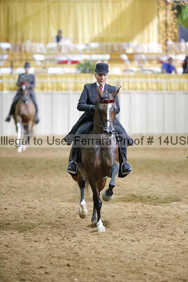 Proof 14usn_01532