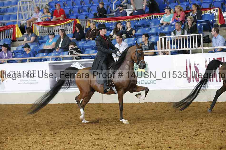 Proof 14usn_01535