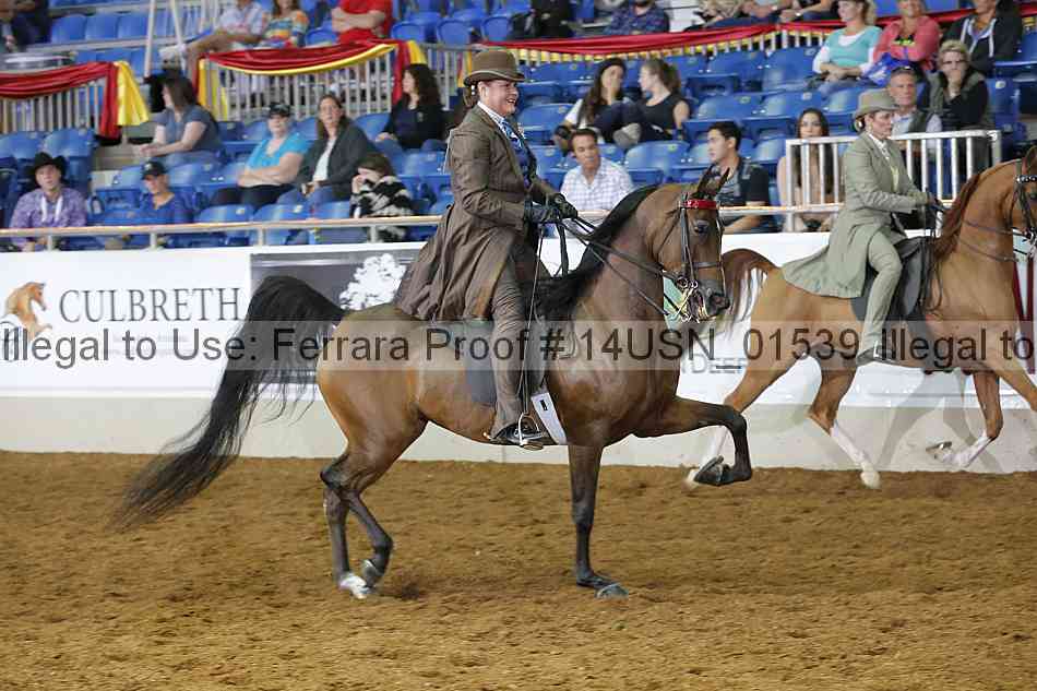 Proof 14usn_01539