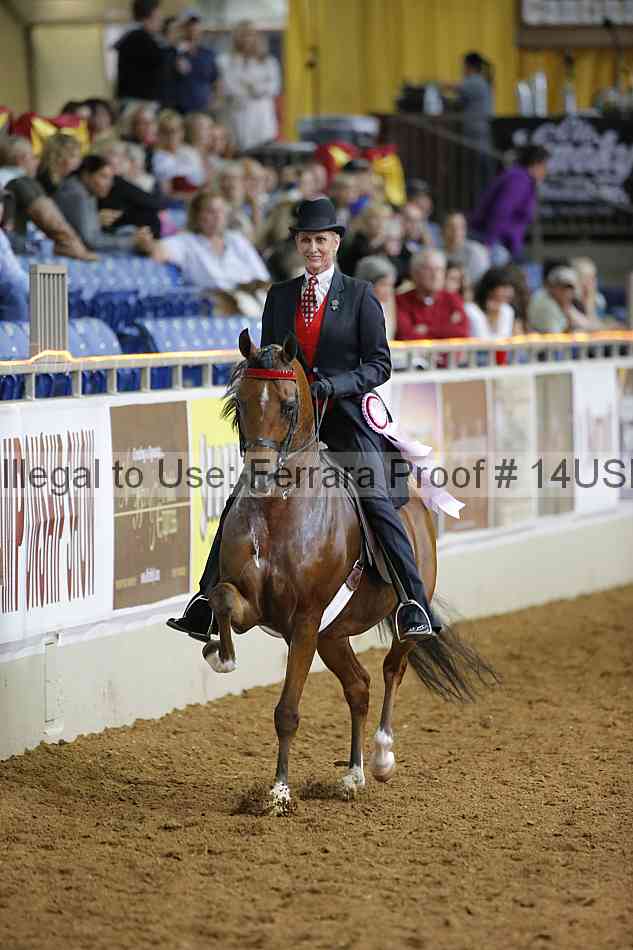 Proof 14usn_01547