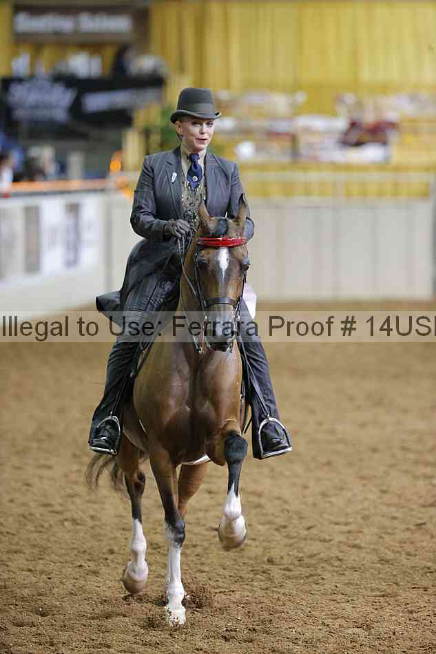 Proof 14usn_01551