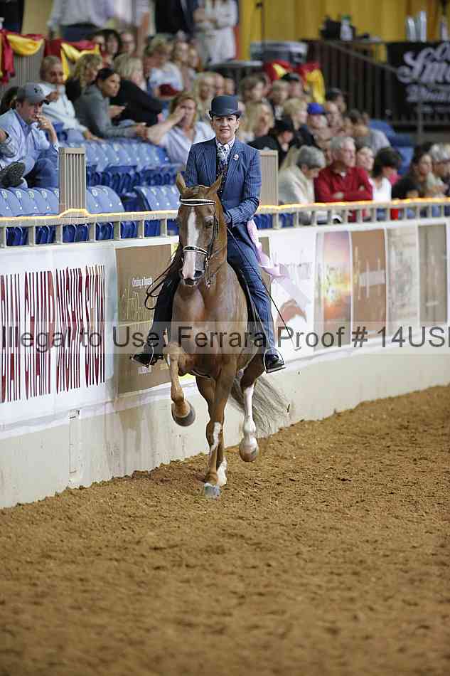 Proof 14usn_01557