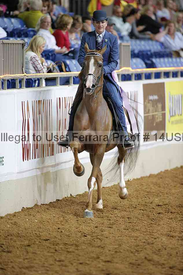 Proof 14usn_01558