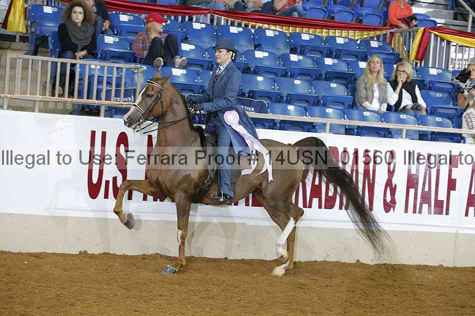 Proof 14usn_01560