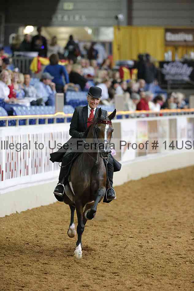 Proof 14usn_01563