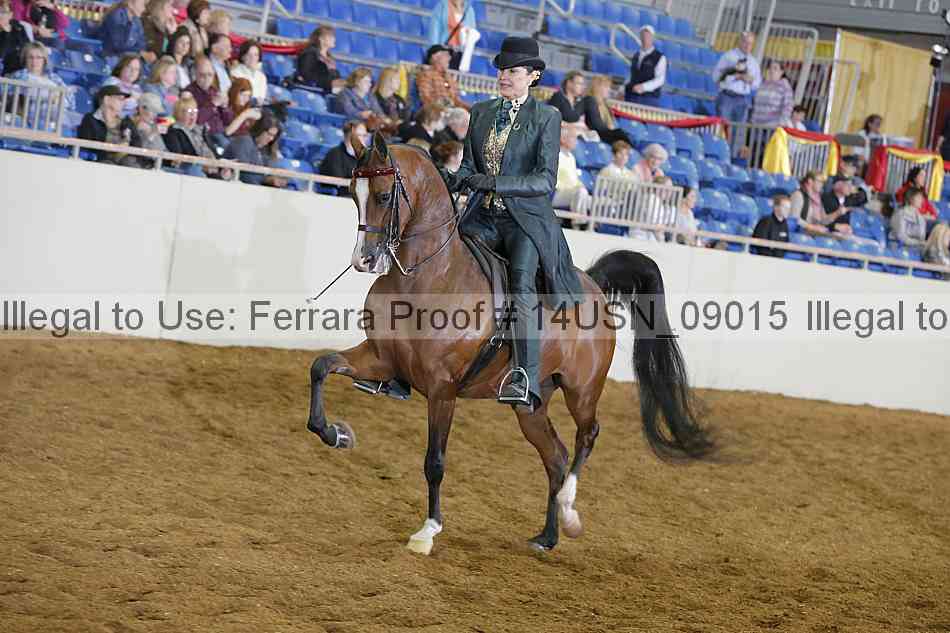 Proof 14usn_09015