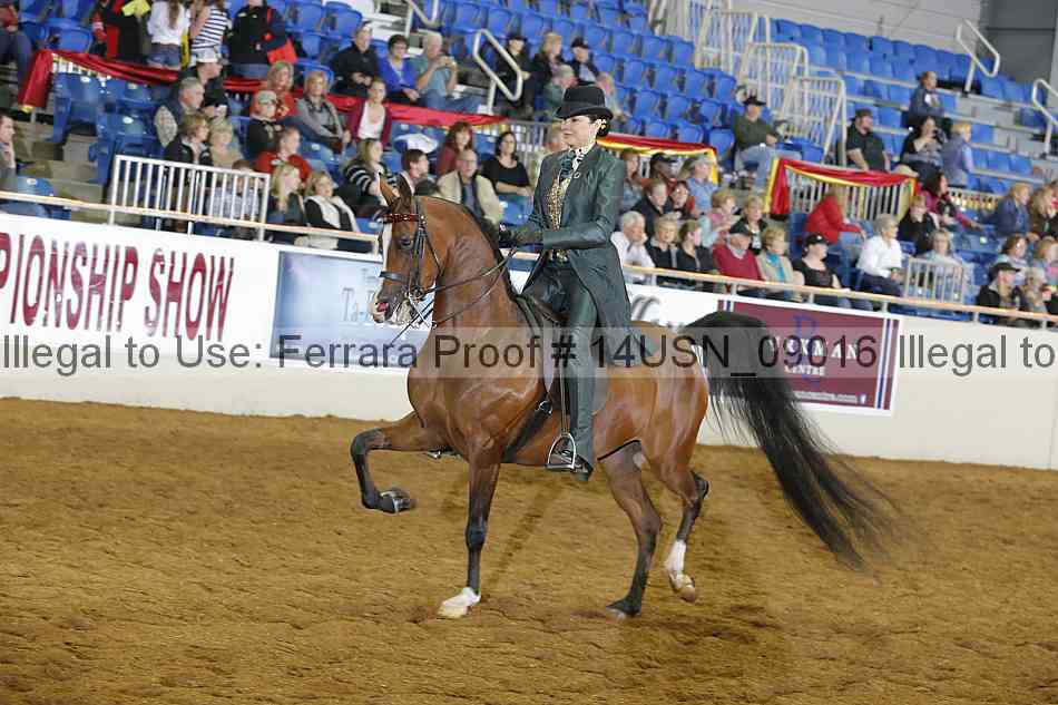 Proof 14usn_09016