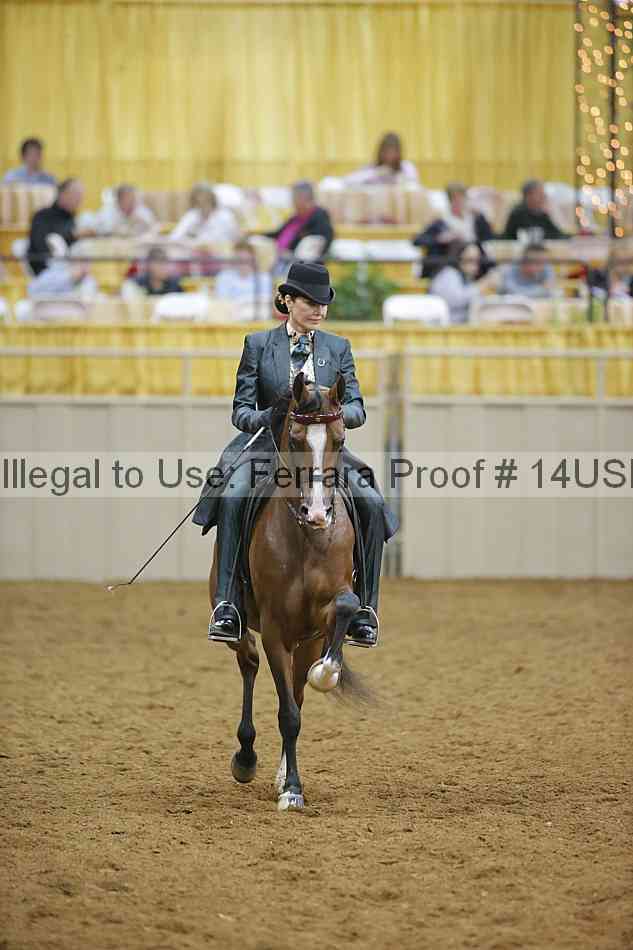 Proof 14usn_09017