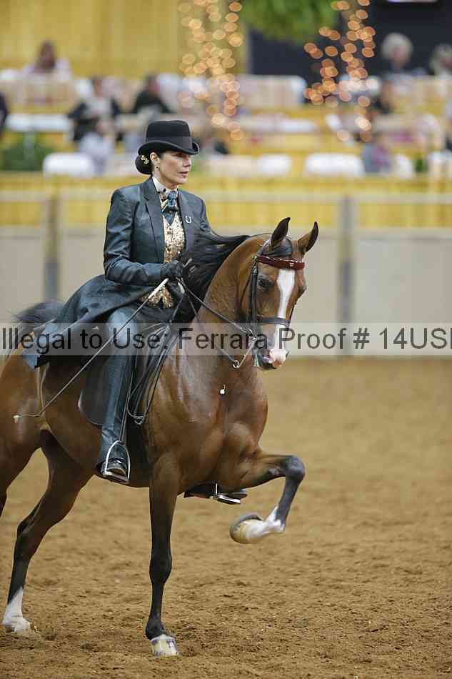 Proof 14usn_09018