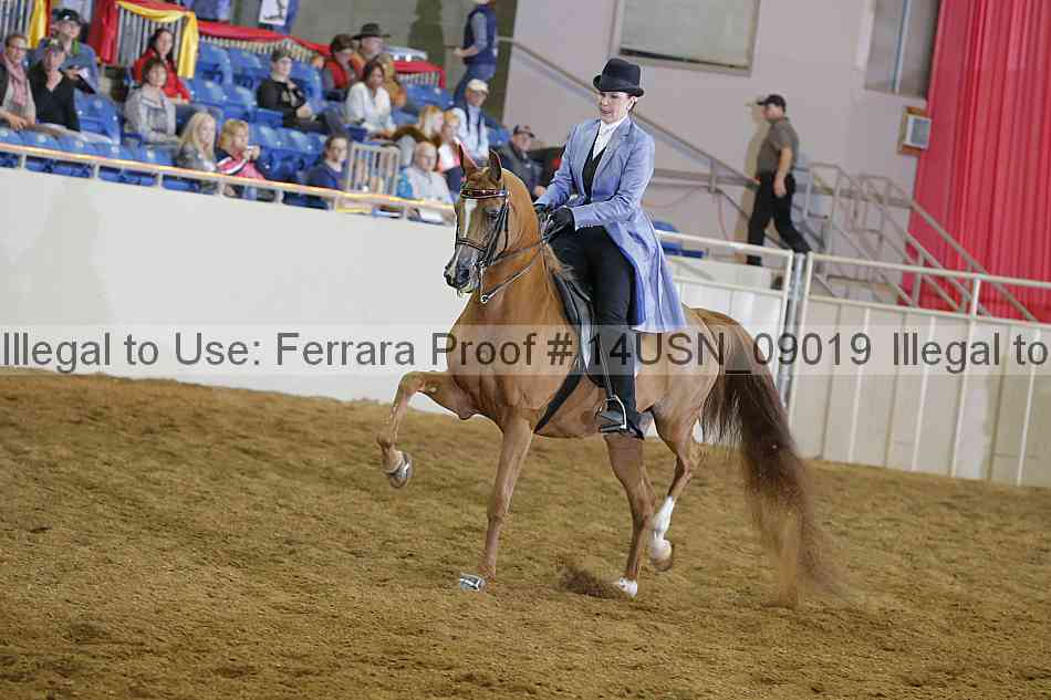Proof 14usn_09019