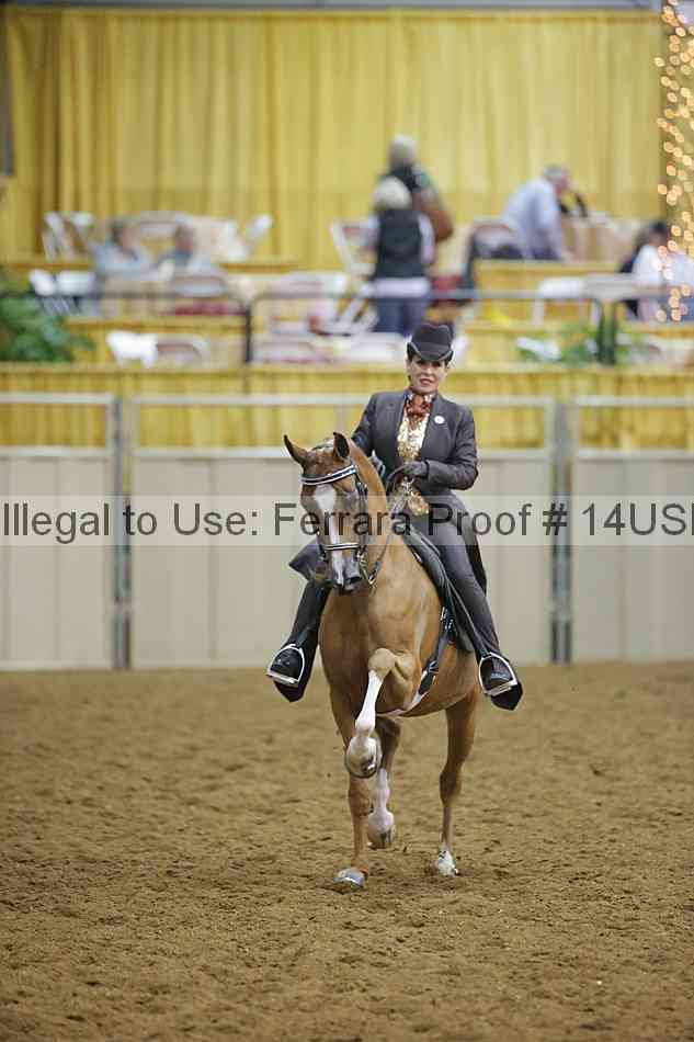 Proof 14usn_09020