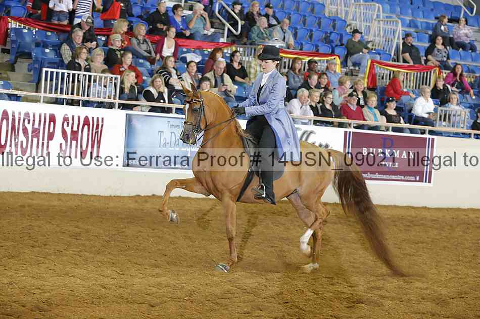 Proof 14usn_09021