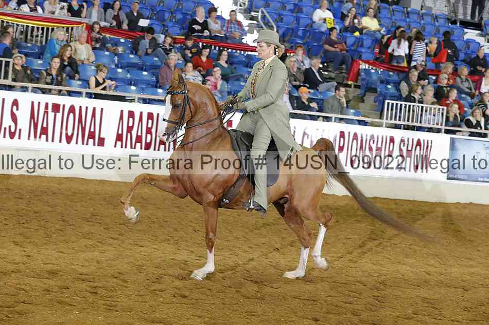 Proof 14usn_09022