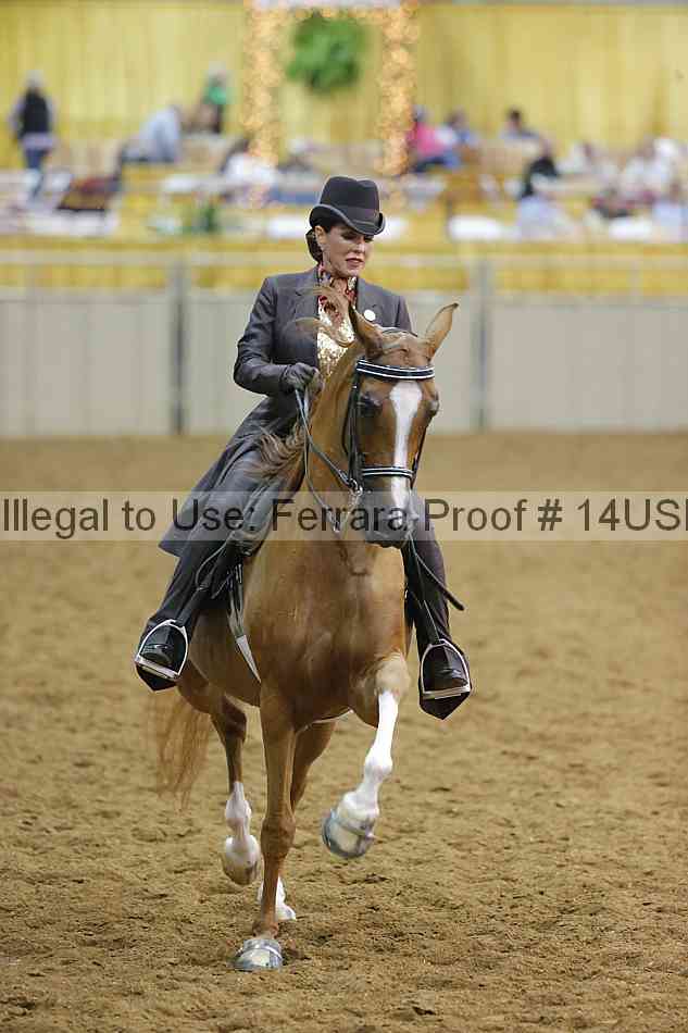 Proof 14usn_09023