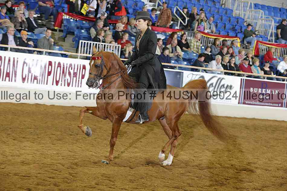 Proof 14usn_09024