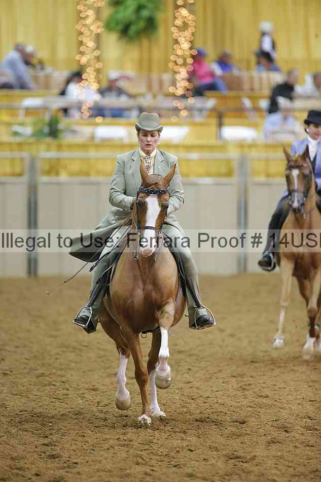 Proof 14usn_09025